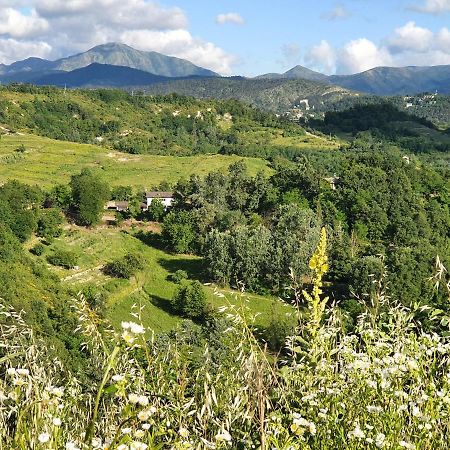 Agriturismo Il Burlino Apartments Lerma ภายนอก รูปภาพ