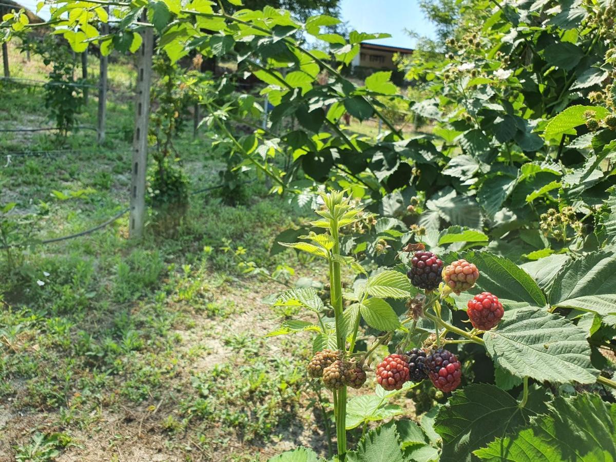 Agriturismo Il Burlino Apartments Lerma ภายนอก รูปภาพ