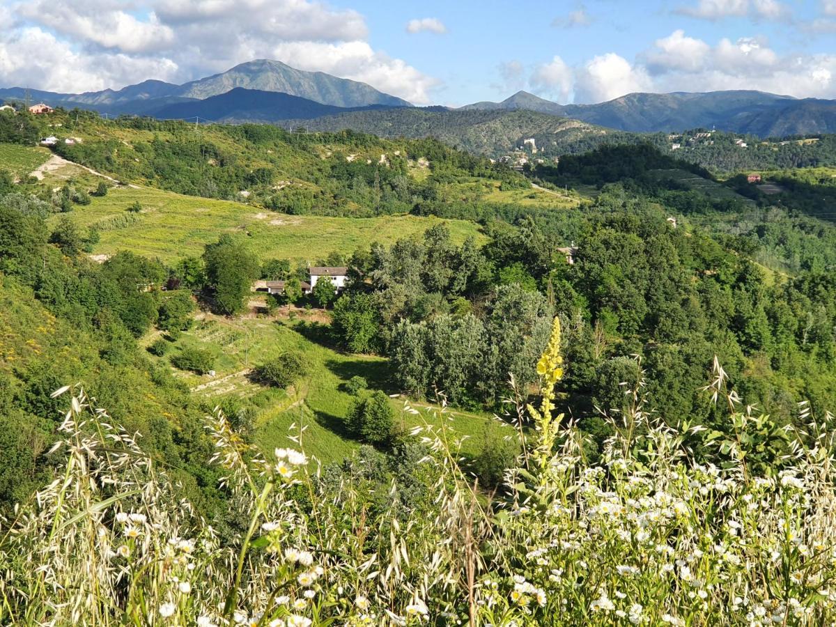 Agriturismo Il Burlino Apartments Lerma ภายนอก รูปภาพ